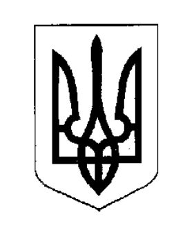 Про внесення змін до цільової програми „Забезпечення підрозділів територіальної оборони на 2022-2023 роки“